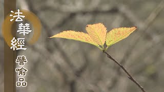 【靜思妙蓮華】法華經譬喻品 - 心花心樂 迴轉法音 - 20201019 第514集