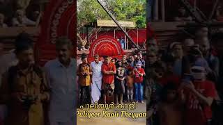 പുലിയൂർ കാളി തെയ്യം #Puliyoor Kaali #theyyam #kannur #theyyamkerala #shortvideo #shortsfeed #attack