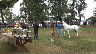 Surčin: Nautičko selo \