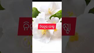 #ନିରନ୍ତର ଚେଷ୍ଟା#motivational #ytshorts #viral #subscribe