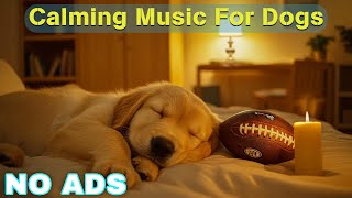 12 HOURS of Dog Calming Music for Dogs🦮💖Anti Separation Anxiety Relief Music🐶🎵Music for Dogs