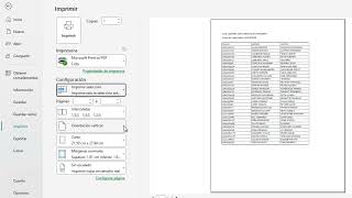 impresion_Excel