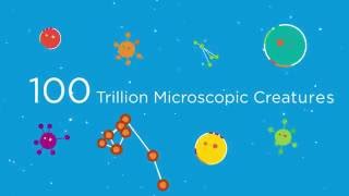 What is the Microbiome? (English)