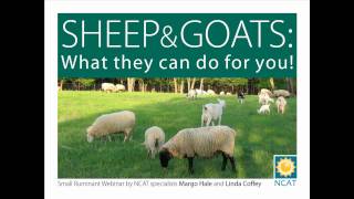 Sheep and Goats: What they can do for you!