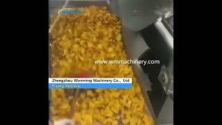 Precision Batch Frying Machine Chips Frying Machine Best Oil Fryer On The Market#machine #affordable