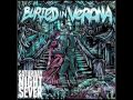 Buried In Verona - The Beginning