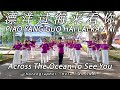 PIAO YANG GUO HAI LAI KAN NI 漂洋过海来看你 - Wang Yu Man 王雨缦 | LINE DANCE | SMLD | Heru Tian