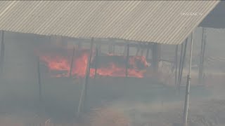 Wildfire Preparedness Week | What you need to know and do to be prepared