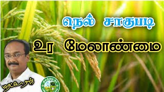 நெல் சாகுபடியில் உர மேலாண்மை செய்வது எப்படி? பிரிட்டோராஜ் 9944450552