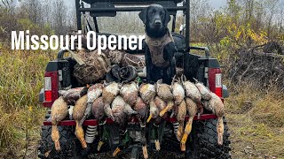 Sunshine Mallards || Missouri Waterfowl Hunting 2023