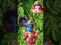 Shree ganesh ji trending songs lyrics