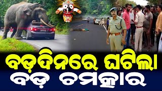 ବଡ଼ଦିନରେ ଘଟିଲା ବଡ଼ ଚମତ୍କାର | ଜଗନ୍ନାଥଙ୍କ ମହିମା | Lord Jagannath Story | Odia Short Story |