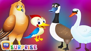 Surprise Eggs Wildlife Toys | Birdwatching in Wildlife & Birds Sounds | ChuChu TV Surprise For Kids