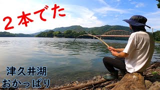 【津久井湖おかっぱり　バス釣り】　釣れるとやっぱり楽しいな