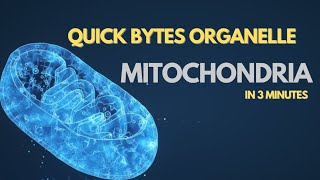 MITOCHONDRIA |Structure and Functions of Mitochondria with Examples in 3 minutes |