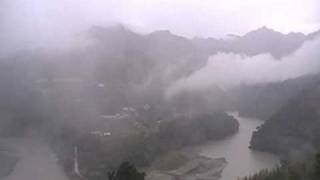 森鄰水岸雨後美景似仙境(松林的低語)