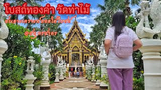 วัดท่าไม้ จังหวัดสมุทรสาคร ชมโบสถ์ทองคำ ไหว้พระเสริมดวง สะเดาะเคราะห์ลอดใต้โบสถ์ ย้งพาเที่ยว