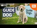 International Guide Dog Day: Guide Dogs And Their Handlers Are Facing Discrimination