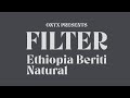 Brew Guides Ethiopia Beriti Filter