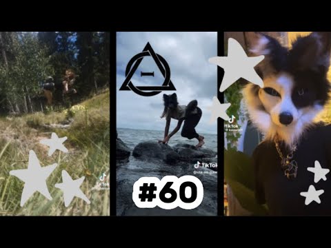 Therian Quadrobics Tiktok Compilation тше 60 Youtube