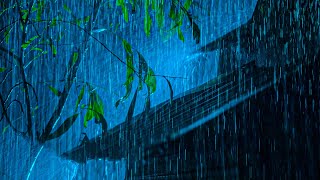 Thunderstorm Sounds for Sleeping | Fall Asleep Instantly with Rain & Thunder on Tin Roof at Night