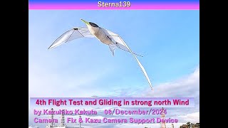 小型アジサシ型羽ばたき機　Sterna139　66g： 4th Flight Test and Gliding in strong north Wind