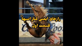 آموزش ایمنی بیشتر کنار اسبها