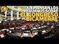 Qué piensan los peruanos sobre el congreso bicameral