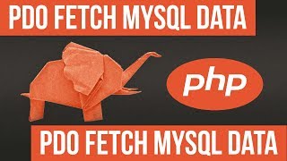 How to Fetch MySQL Data using PDO - Become a PHP Master - 32