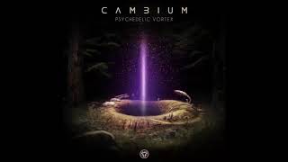 CAMBIUM - Infinity (Original Mix)