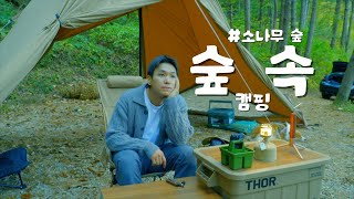 [4K]  숲속에서 하룻밤🌳 | 솔로캠핑 | 경기도가평 | 노지같은 캠핑장 소개 | 애견동반캠핑 | SOLOCAMPING I 캠핑브이로그 ㅣ돼지고기 김치찌개 먹방