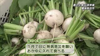 「春の七草」出荷の準備作業進む　1月7日の「七草粥」に向けて年末年始も休みなく出荷へ　大分