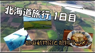 【国内旅行：北海道♯1】1日目旭山動物園と旭川ラーメン（絶品）高松空港から羽田空港乗り継ぎ旭川空港2泊3日の旅Traveling to Japan in Hokkaido　AsahiyamaZoo