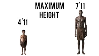 Human Height Explained ( Not What You Think )