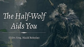 [ASMR] The Half-Wolf Aids You (Elden Ring, Blaidd Roleplay)