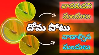 దోమ పోటు నివారణ|Brown plant hopper management|సుడి దోమ నివారణ|