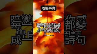 愛的詩句 #暗戀情感 #文字藝術 #愛的瞬間  #愛情語錄