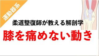 【柔道整復師が教える解剖学】膝を痛めない動き”スクリューホームムーブメント”とは？【タロ塾#21】