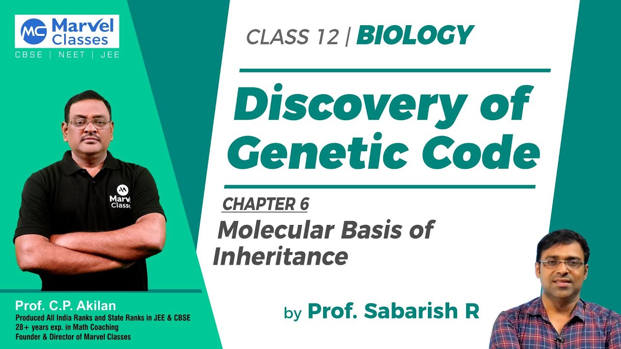 #MarvelClasses – Discovery Of Genetic Code | Class 12 Biology | Ch-6 ...