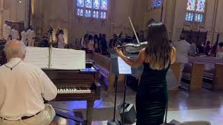 Perfect Ed Sheeran Violin Cover - Bride Entrance Song - Wedding Ceremony Music - Wedding Violinist