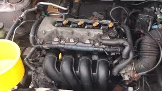 2004 Toyota Corolla Head Gasket Replacement and Inspection