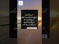 #islamiqoutes#hazrat Ali quote#ytshorts #youtubeshorts #viral