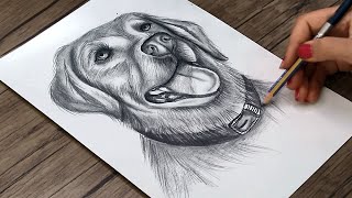 How to Draw a Realistic Dog Head Step by Step | Pencil Drawing Tutorial