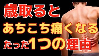 【歳を取ると身体が痛くなる本当の理由】老化だけじゃない！肩・腰・膝が痛くなる本当の理由と対処法！姿勢も良くなり、血圧も下がって、内臓脂肪も落ちる！#痛み改善 #体幹 #老化 #痛み