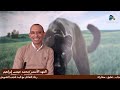 هام و خطير الدجال يخدع العقول صناعة الكوارث إفقار الشعوب بث مباشر الفهد_الأسمر محمد عيسى إبراهيم