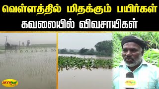 வெள்ளத்தில் மிதக்கும் பயிர்கள் கவலையில் விவசாயிகள் | Rain | Flood | Jaya Plus