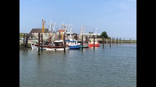 Roadtrip mit Dachzelt Friesland Niederlande Vlog#2 - Die Nordsee