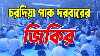 চরদিয়া পাক দরবার শরীফের জিকির || Zikir || Chardia Pak Dorbar Sharif