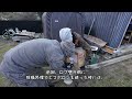 ≪週末diyから始める移住への道≫ ＃175　復活の床組み工事！大引きと根太の施工をしたら嫁子さんの有難みしか無かった！床組み工事① ≪アラフィフ開拓≫