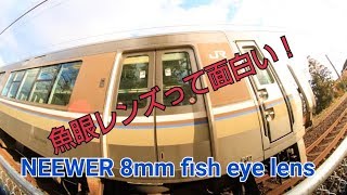 NEEWER Canonデジタル一眼レフカメラ用 プロ8mm F/3.5非球面HD魚眼レンズレビュー  FISH　EYE　lens　review